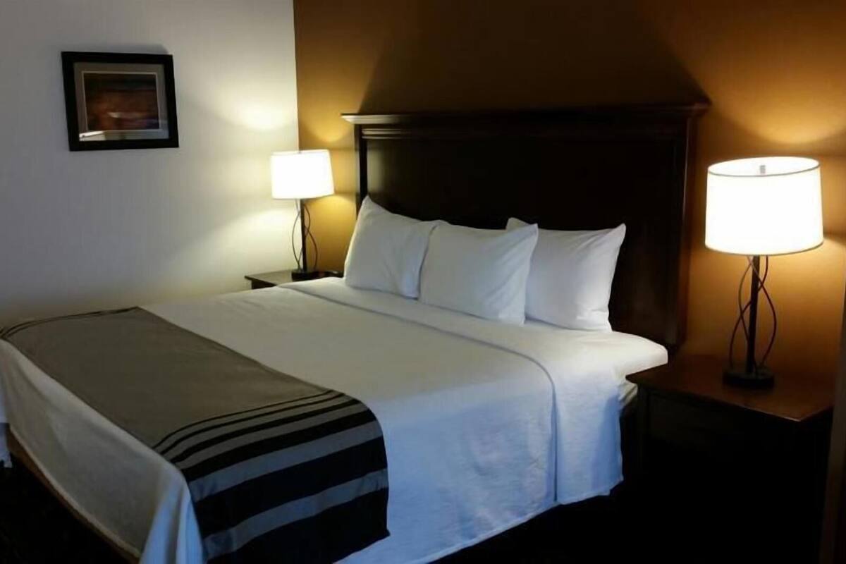 Quarto de hotel com cama, duas luminárias laterais, um quadro na parede e cabeceira escura.