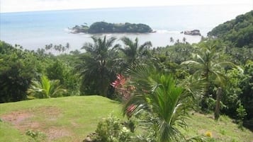 Deluxe Studio | View from room