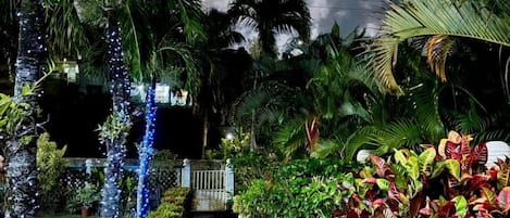 Standard Apartment, 1 Bedroom, Kitchenette | Garden view