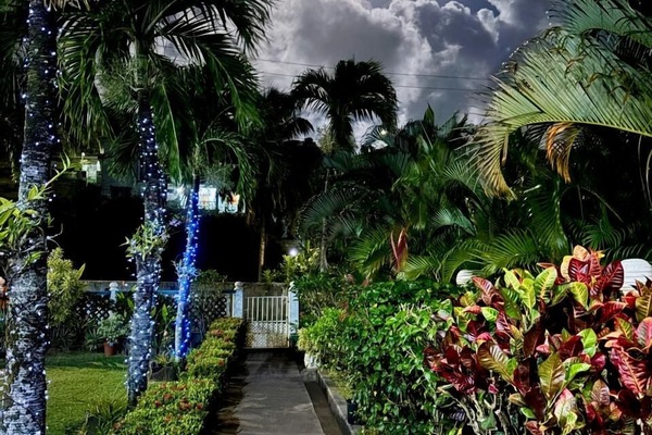 Standard Apartment, 1 Bedroom, Kitchenette | Garden view
