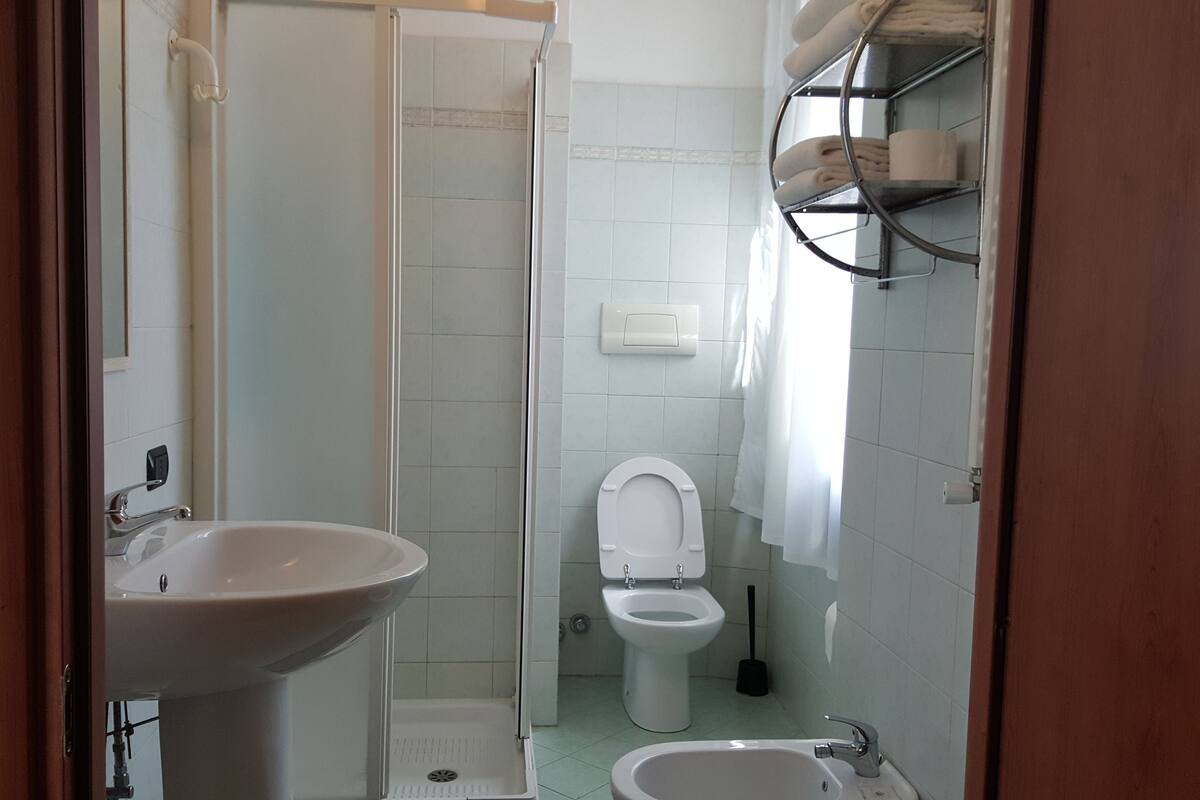 shower, bidet, towels