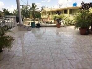 Terras