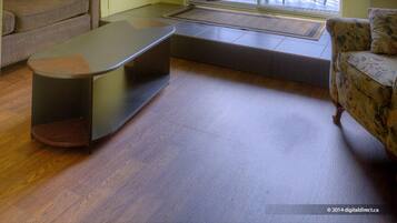 Standard Room, 1 Queen Bed with Sofa bed, Jetted Tub | Living area | TV