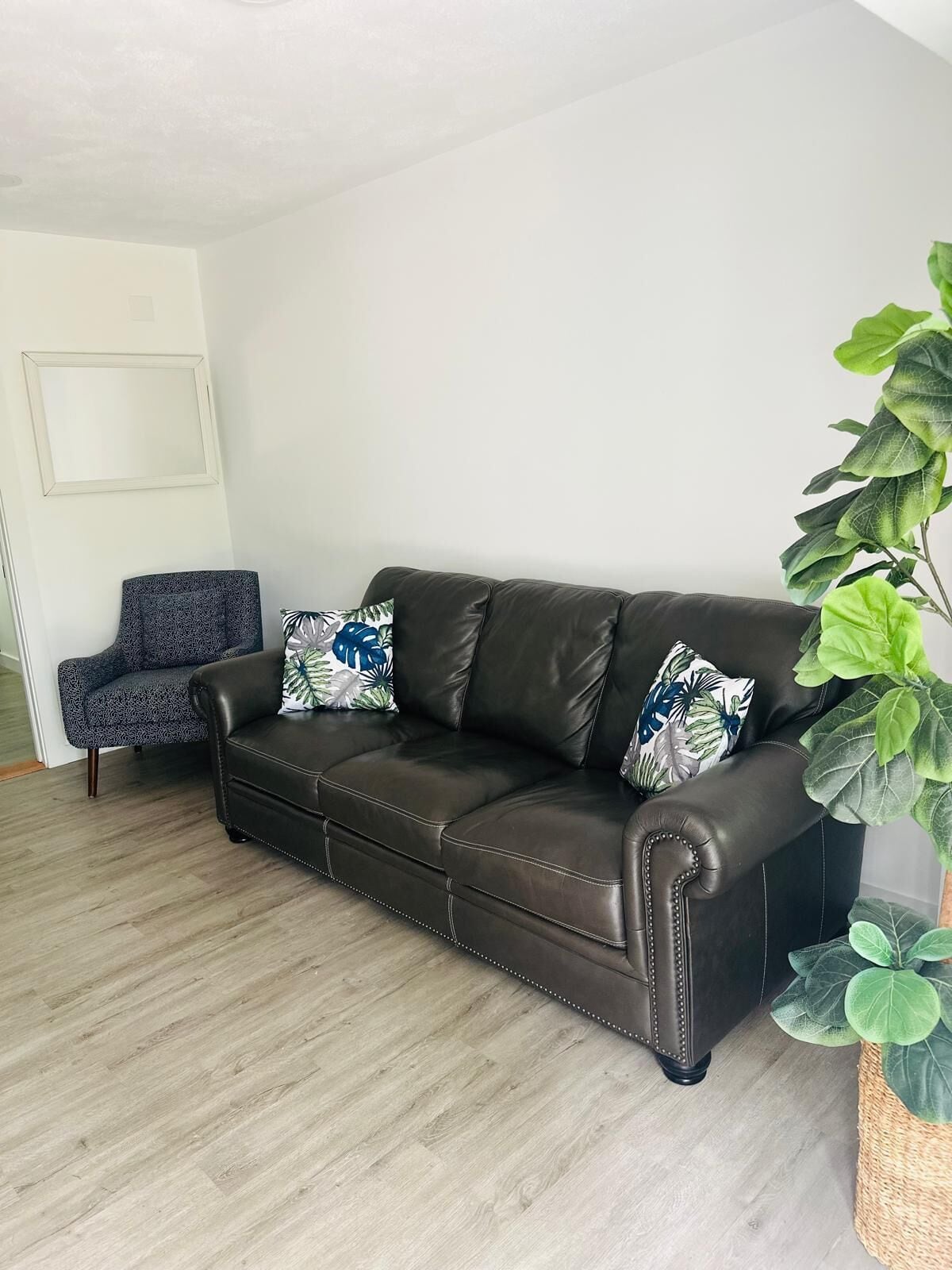 A dark brown leather sofa with two patterned pillows, a patterned armchair, and a large green plant in a woven basket.