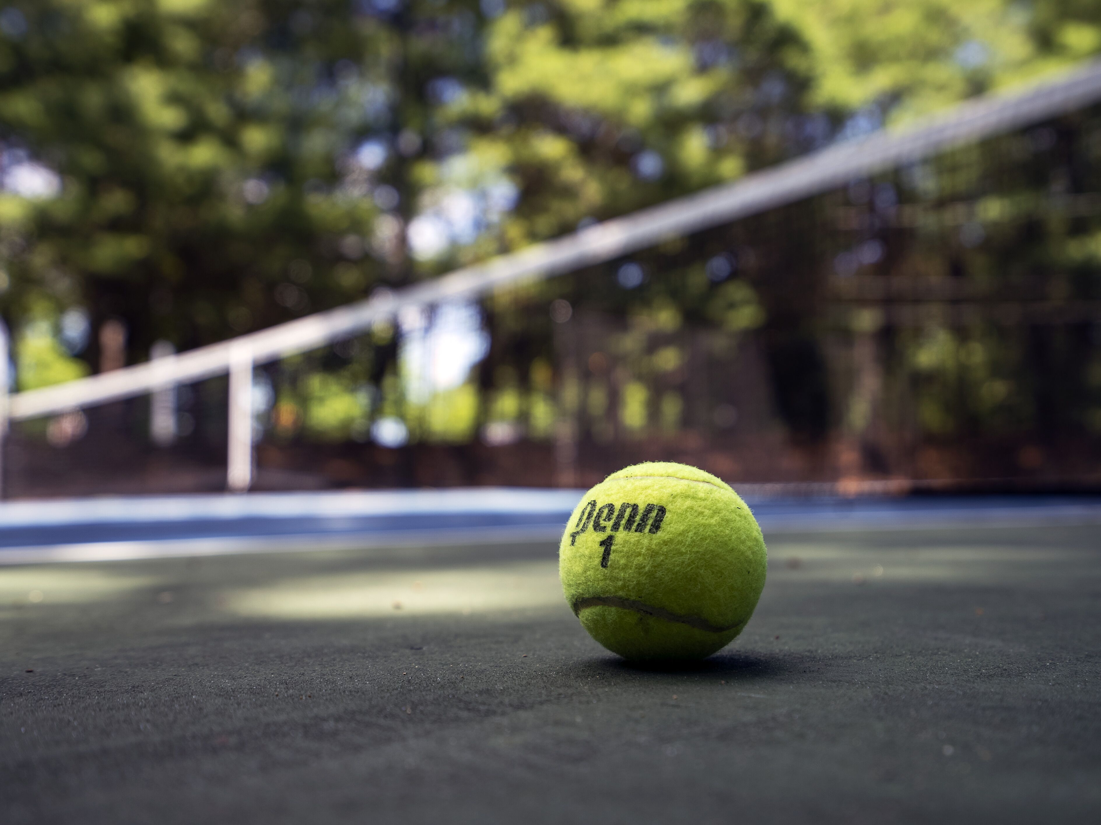 A tennis ball on a court.