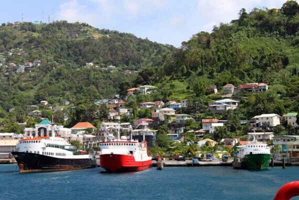 A harbor with several boats docked, surrounded by a hillside with residential buildings. - Heron at Bridgehouse (Kingstown)