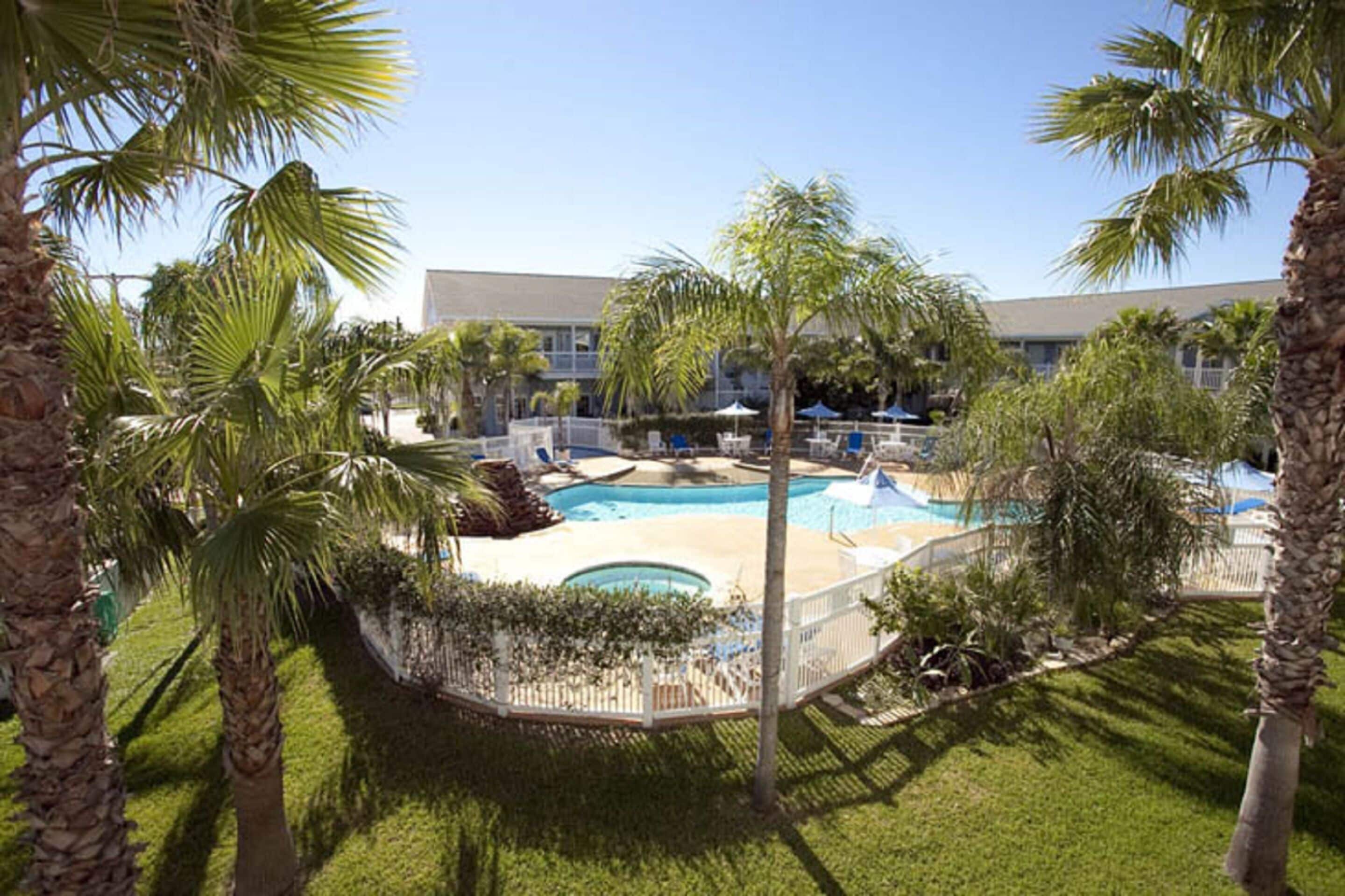 Outdoor pool, pool umbrellas, pool loungers