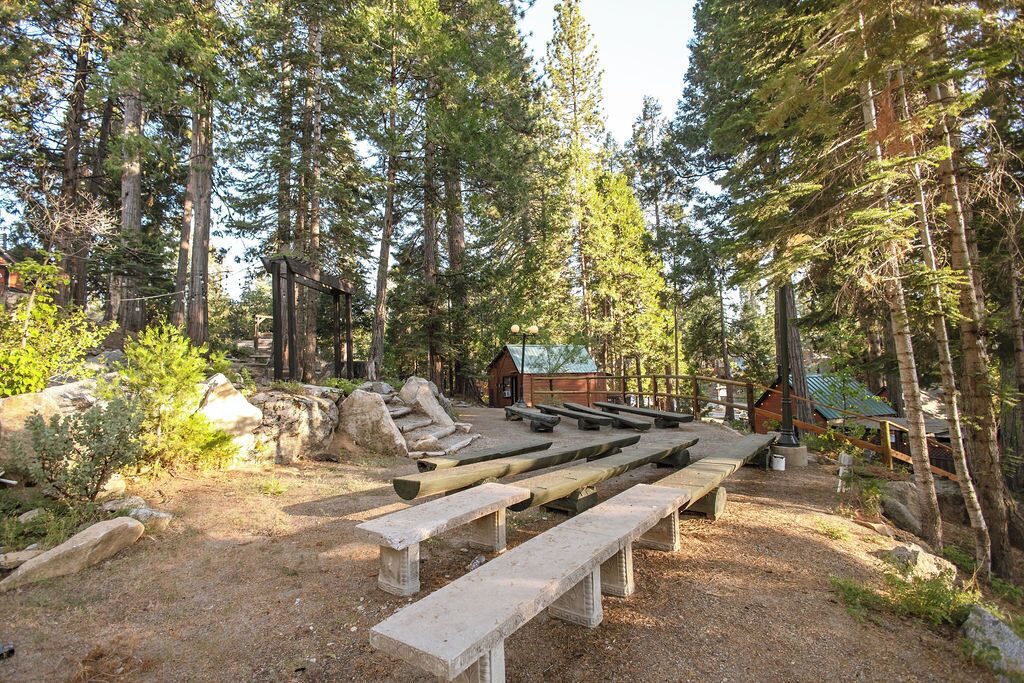 A rustic outdoor seating area with benches and picnic tables, surrounded by tall pine trees and a cabin.