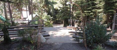 A forested area with a stone pathway leading to a clearing.