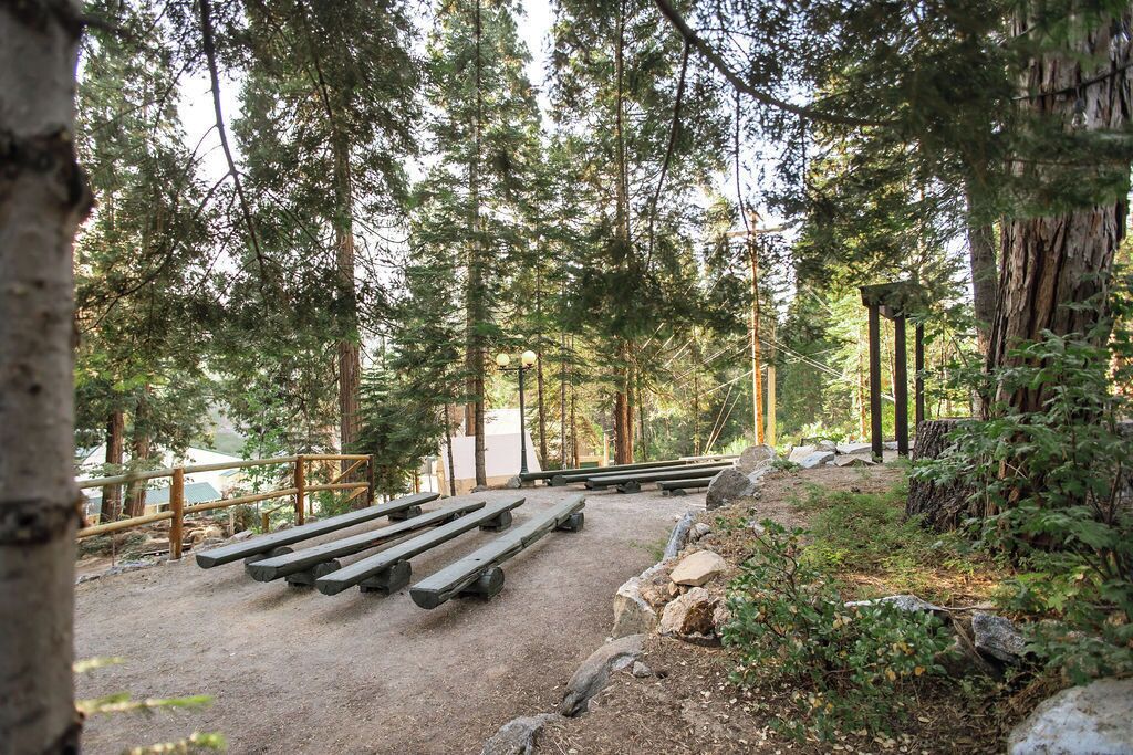 Ein bewaldetes Gebiet mit Picknicktischen und einer Holzhütte.