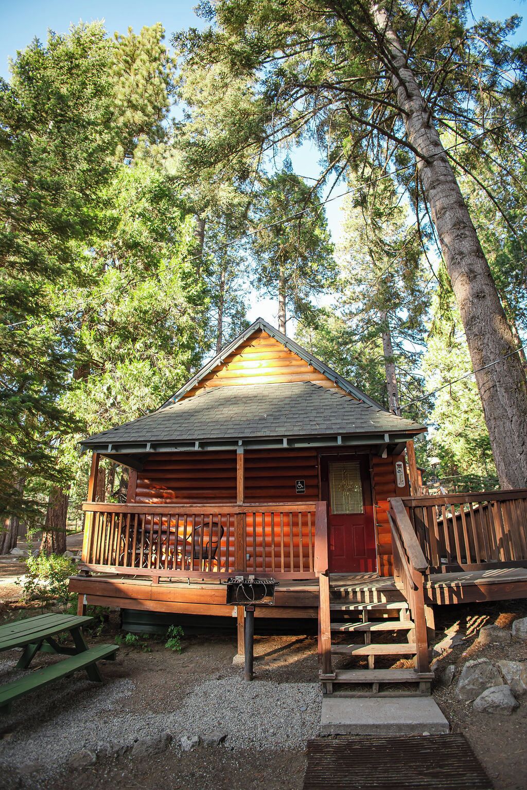 Cabin, Multiple Beds, Accessible (Log Cabin) | Terrace/patio