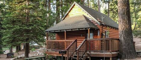 Cabane, coin cuisine | Terrasse/Patio