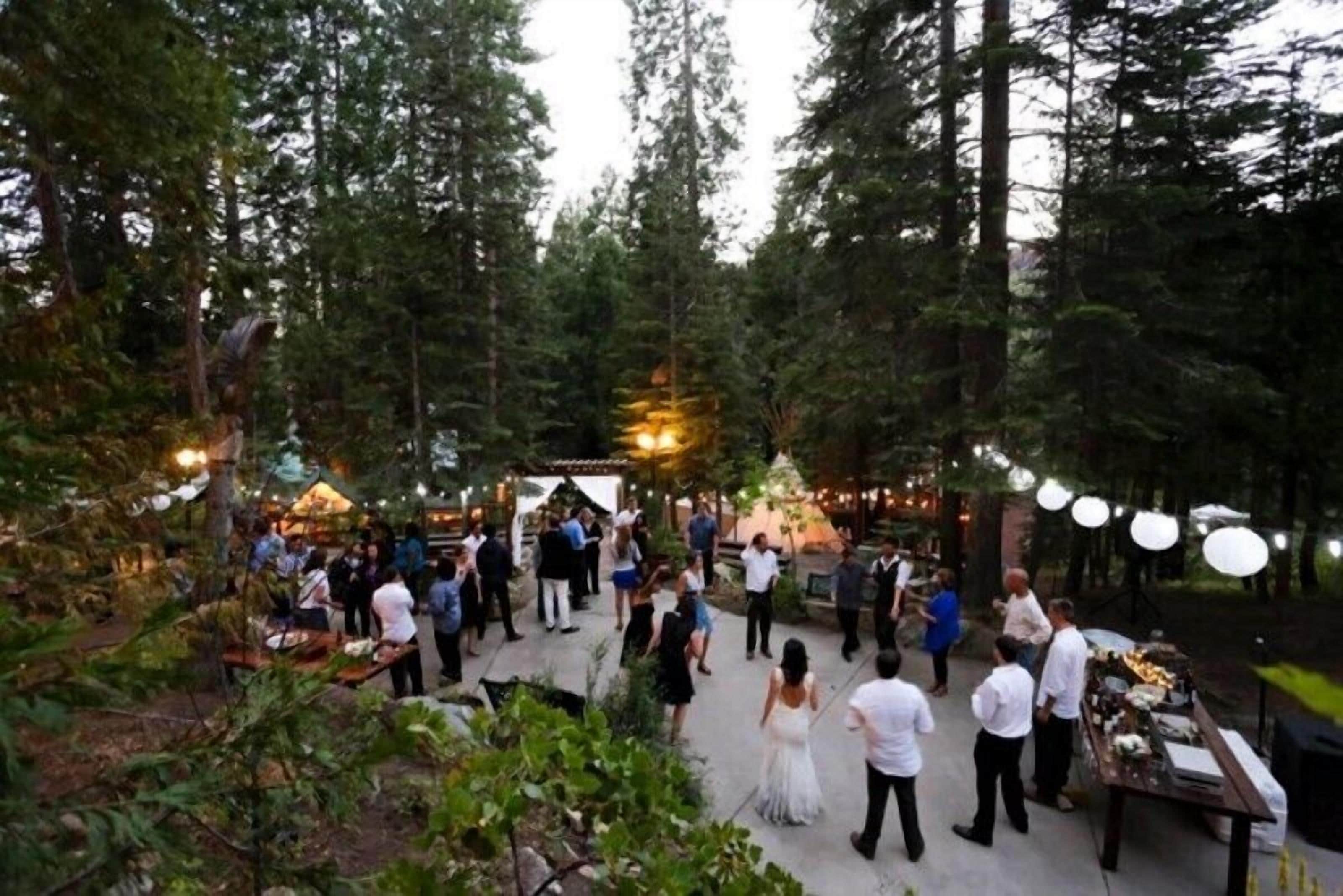 An outdoor event with people gathered around tables, surrounded by tall trees.