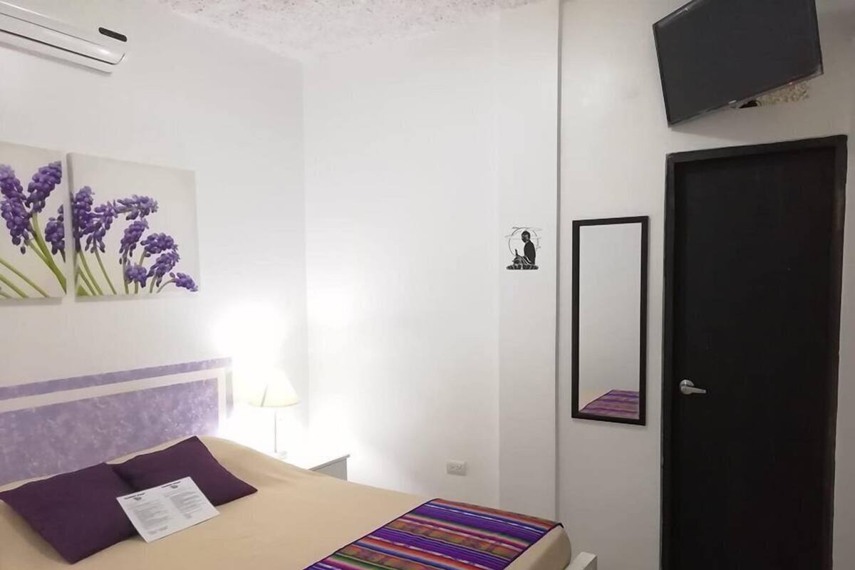 A bedroom with a bed, a TV, a door, and a wall-mounted artwork.