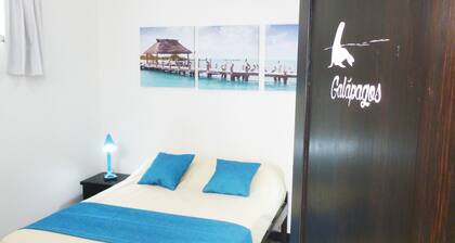 Villa64 - Hostel