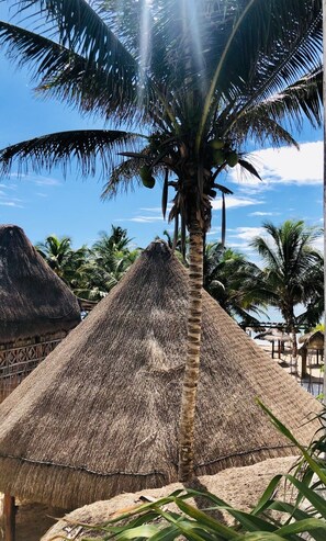 Terrace/patio - Hotel Boutique Pachamama (Mahahual)