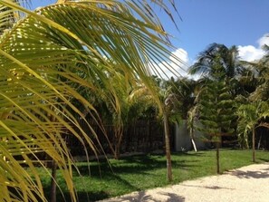 Property grounds - OM Condominium (Mahahual)