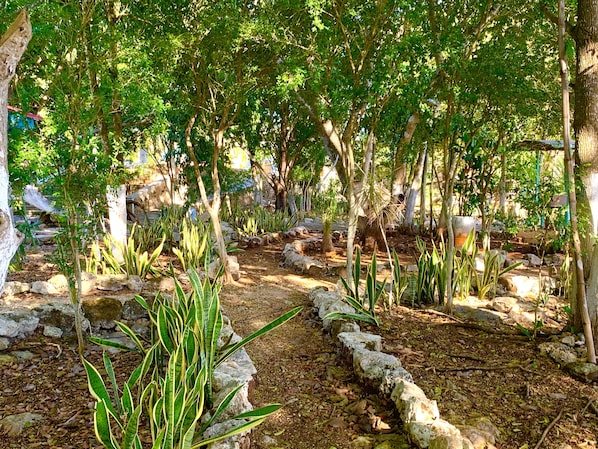 Un jardín con un sendero de piedra, diversas plantas y árboles.