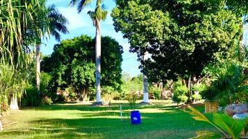 A lush garden with various trees, a blue pot, and a stone structure.