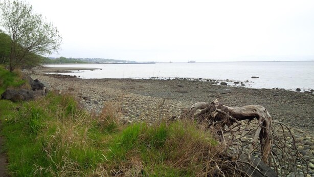 A rocky shoreline with a large fallen tree trunk in the foreground. - Holiday Lodge (Port Angeles)