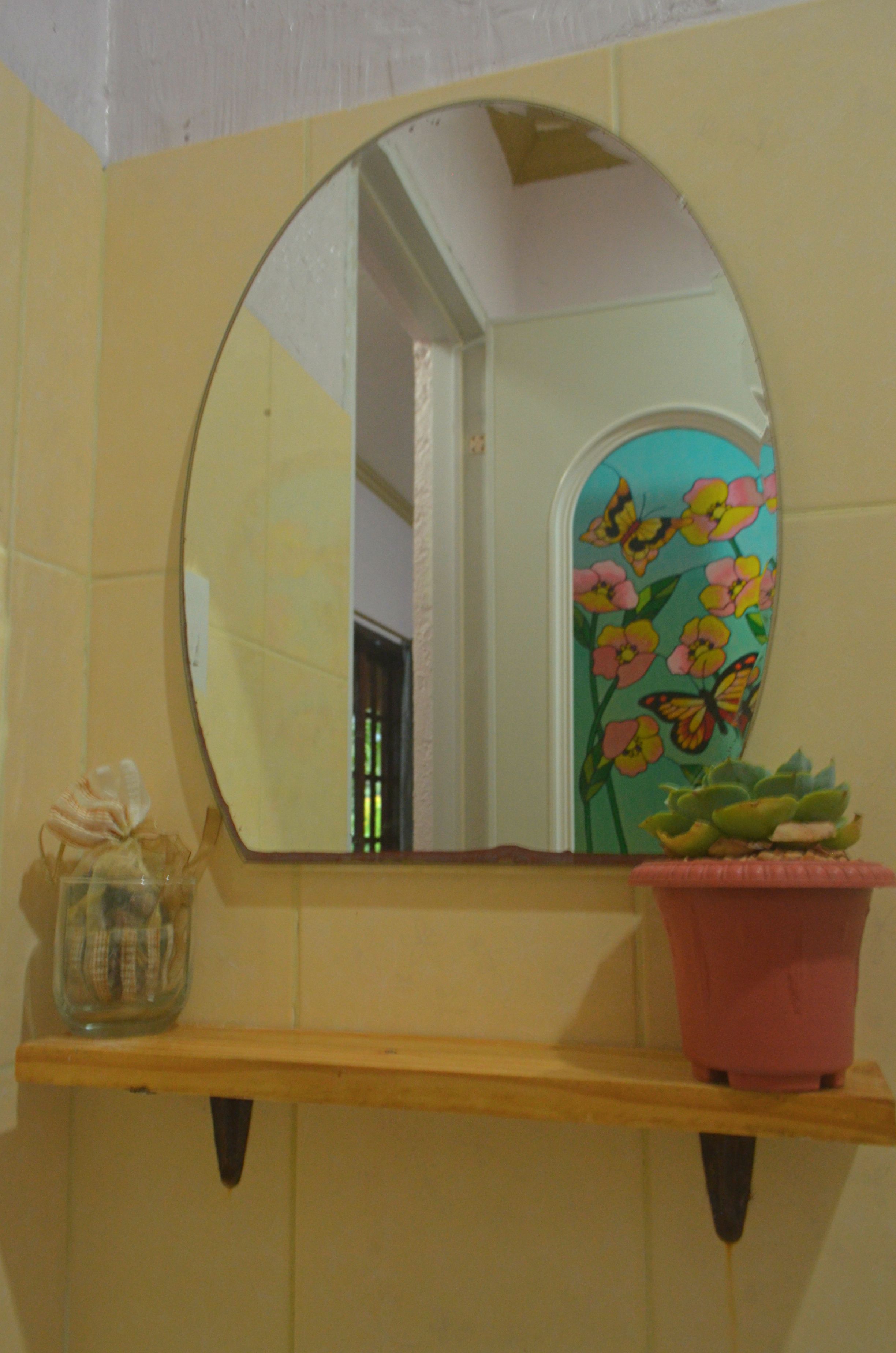 A bathroom with a round mirror, a shelf with a potted plant, and a decorative wall panel.