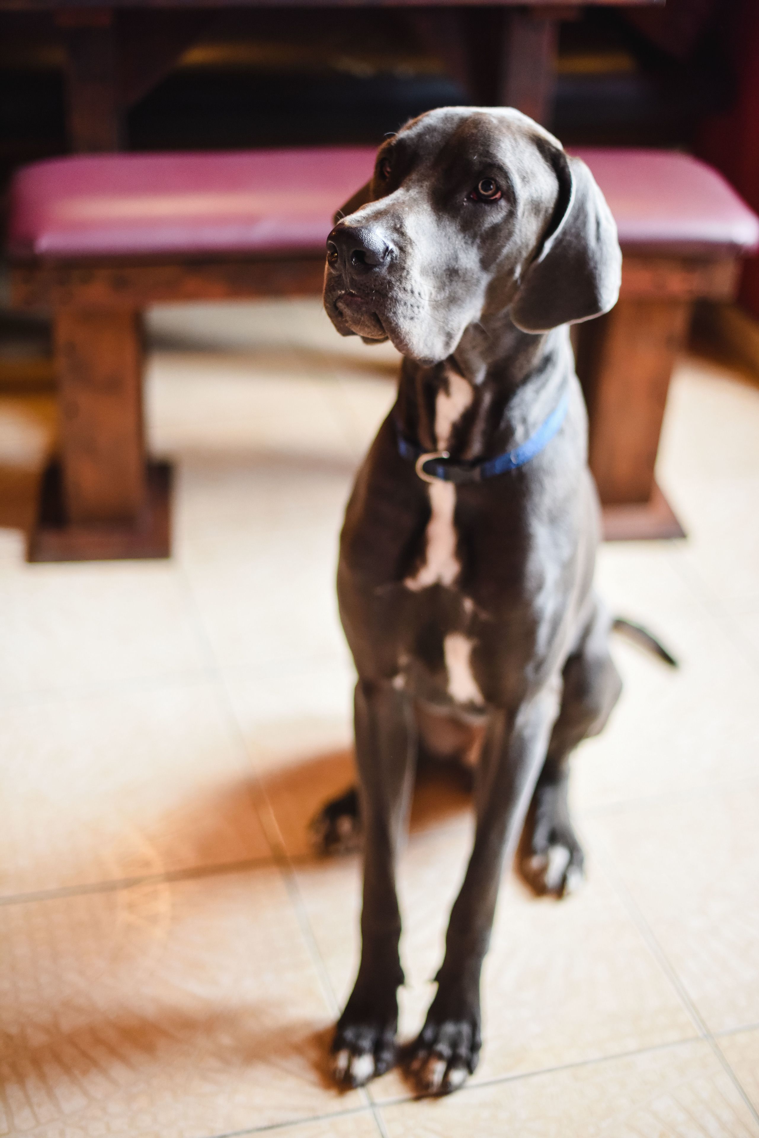 Foto - Island Life Hostel