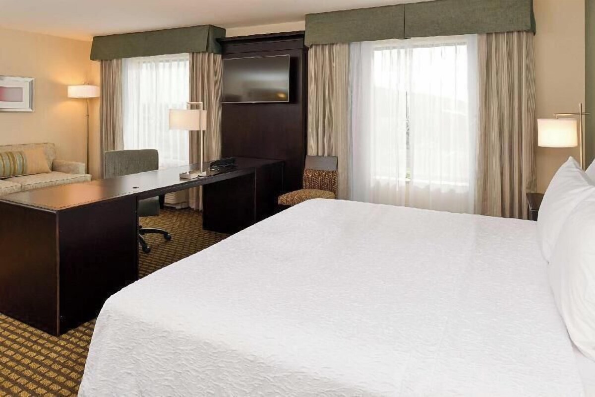 Habitación de hotel con una cama grande, un escritorio, una silla, un televisor y dos ventanas con cortinas.