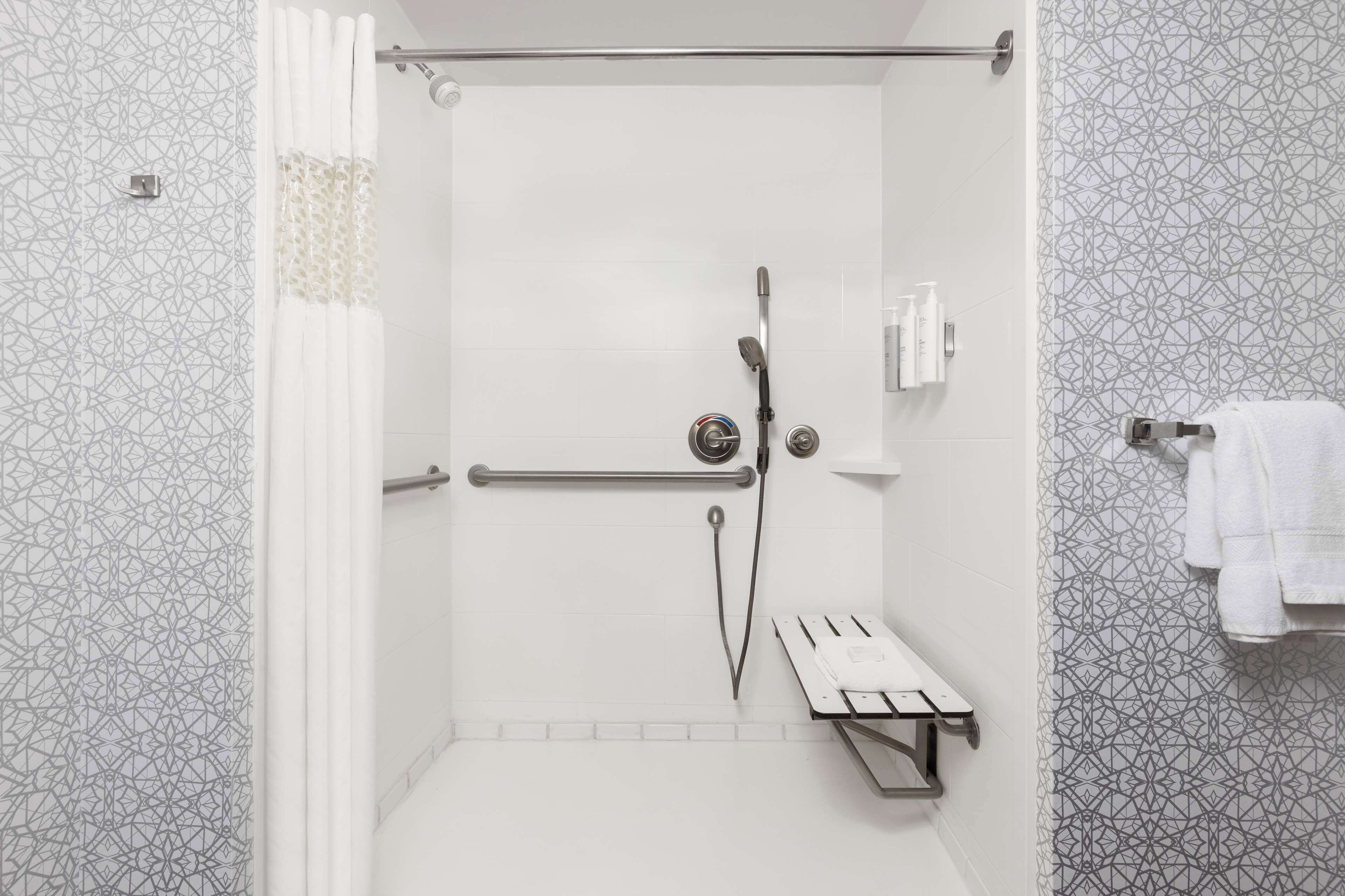 room, 1 king bed, accessible, non smoking | bathroom shower