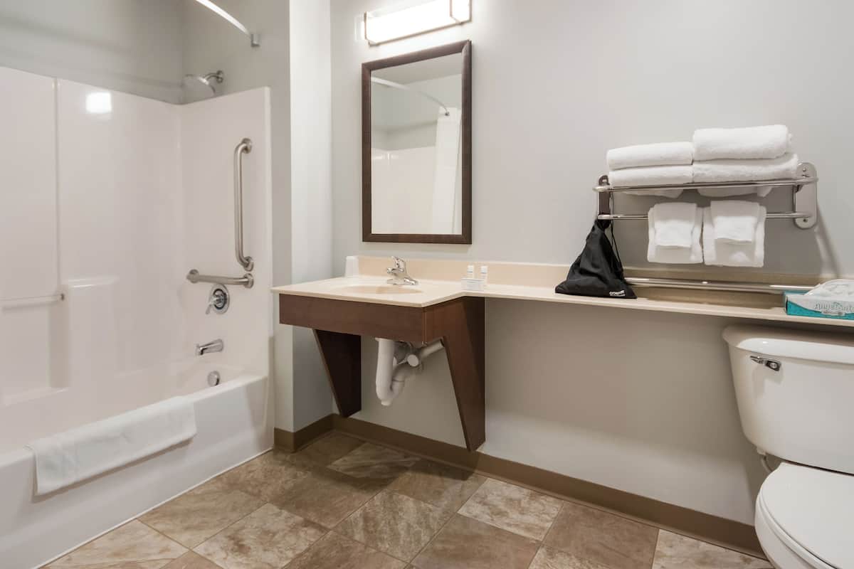 room, 1 queen bed, accessible | bathroom | combined shower/bathtub, free toiletries, hair dryer, towels