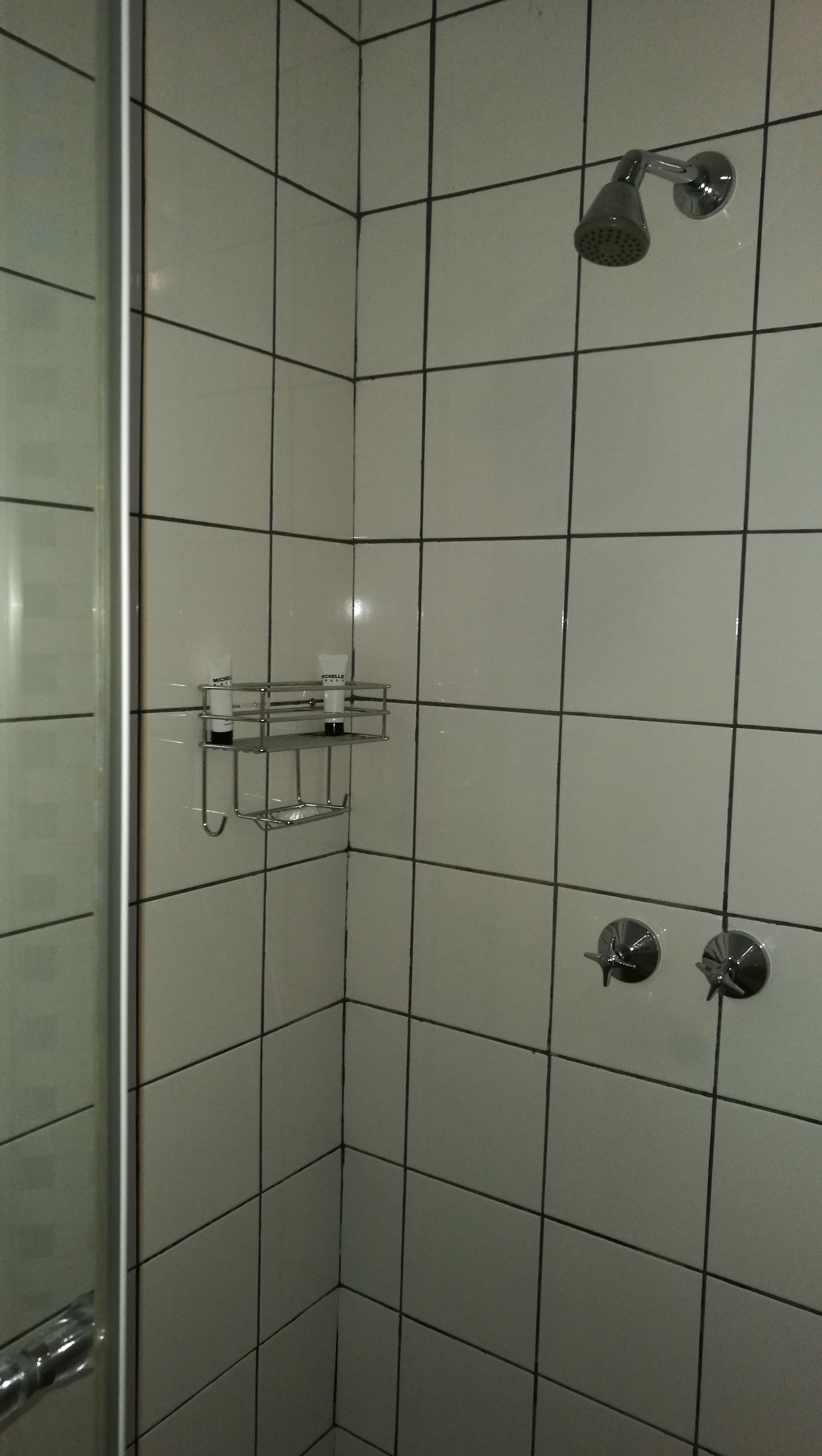 A tiled shower area with a glass door, a showerhead, and a soap dispenser on a shelf.