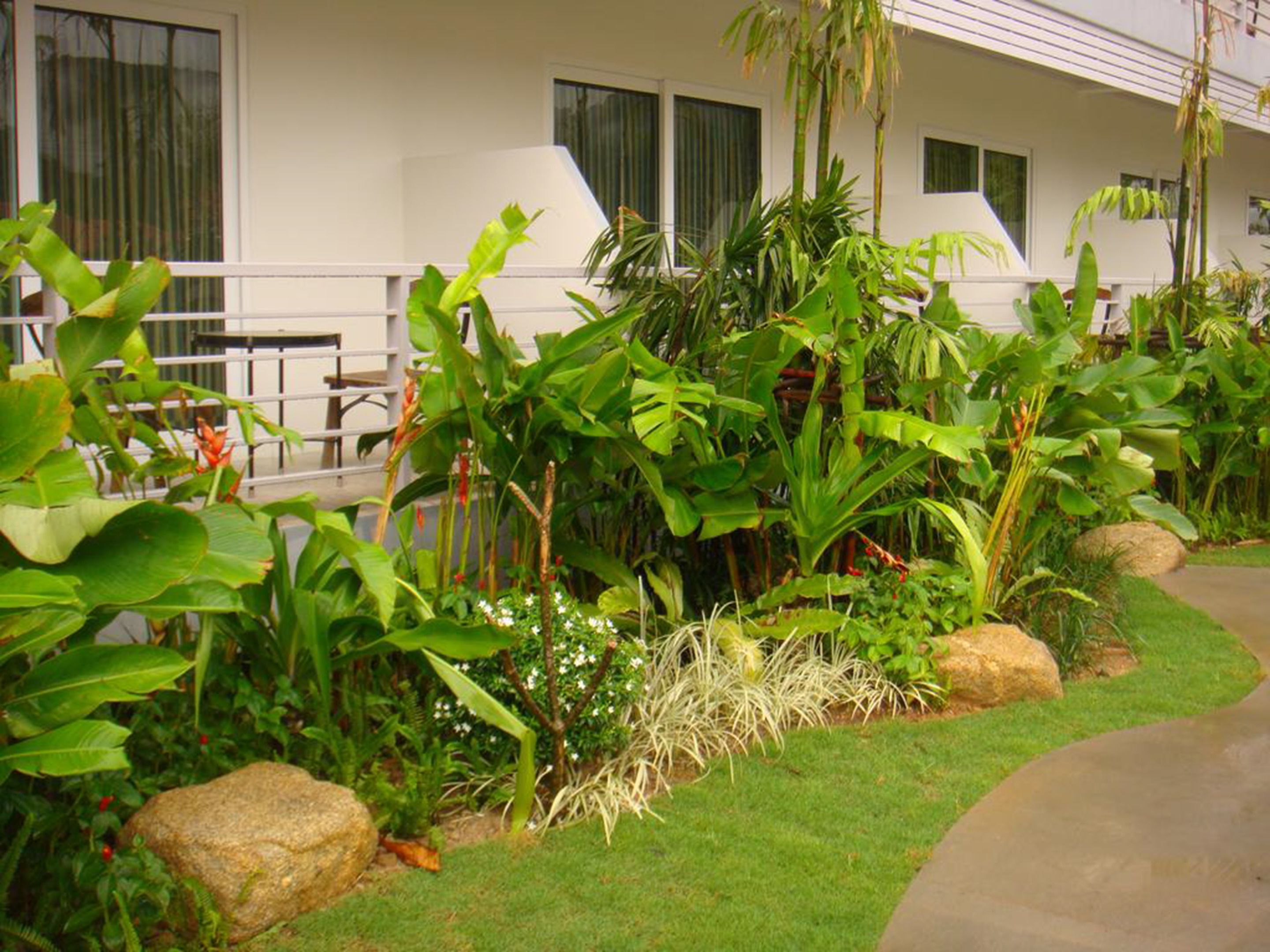 A lush garden with tropical plants and a white building with large windows.