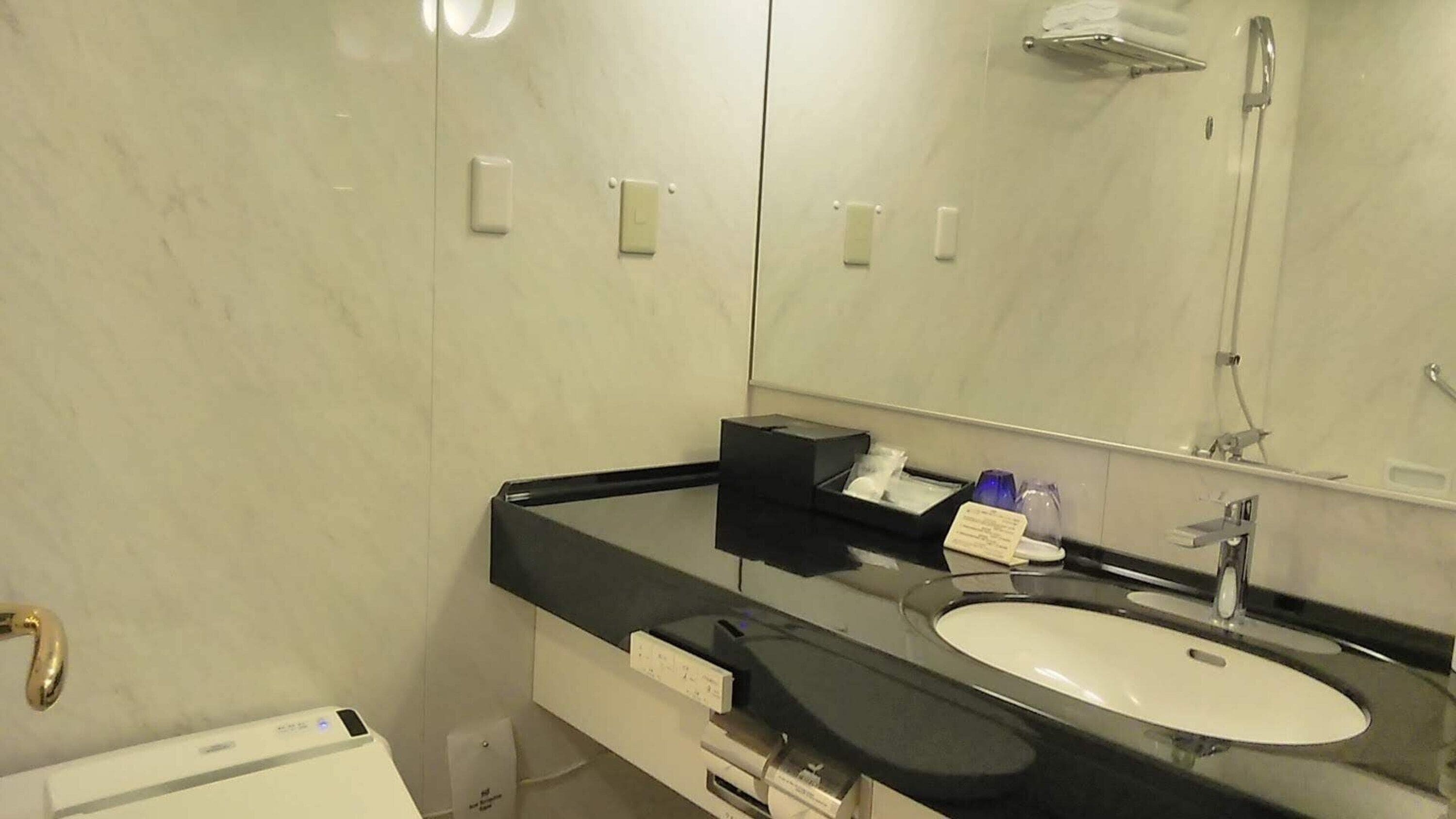 combined shower/bathtub, free toiletries, hair dryer, slippers