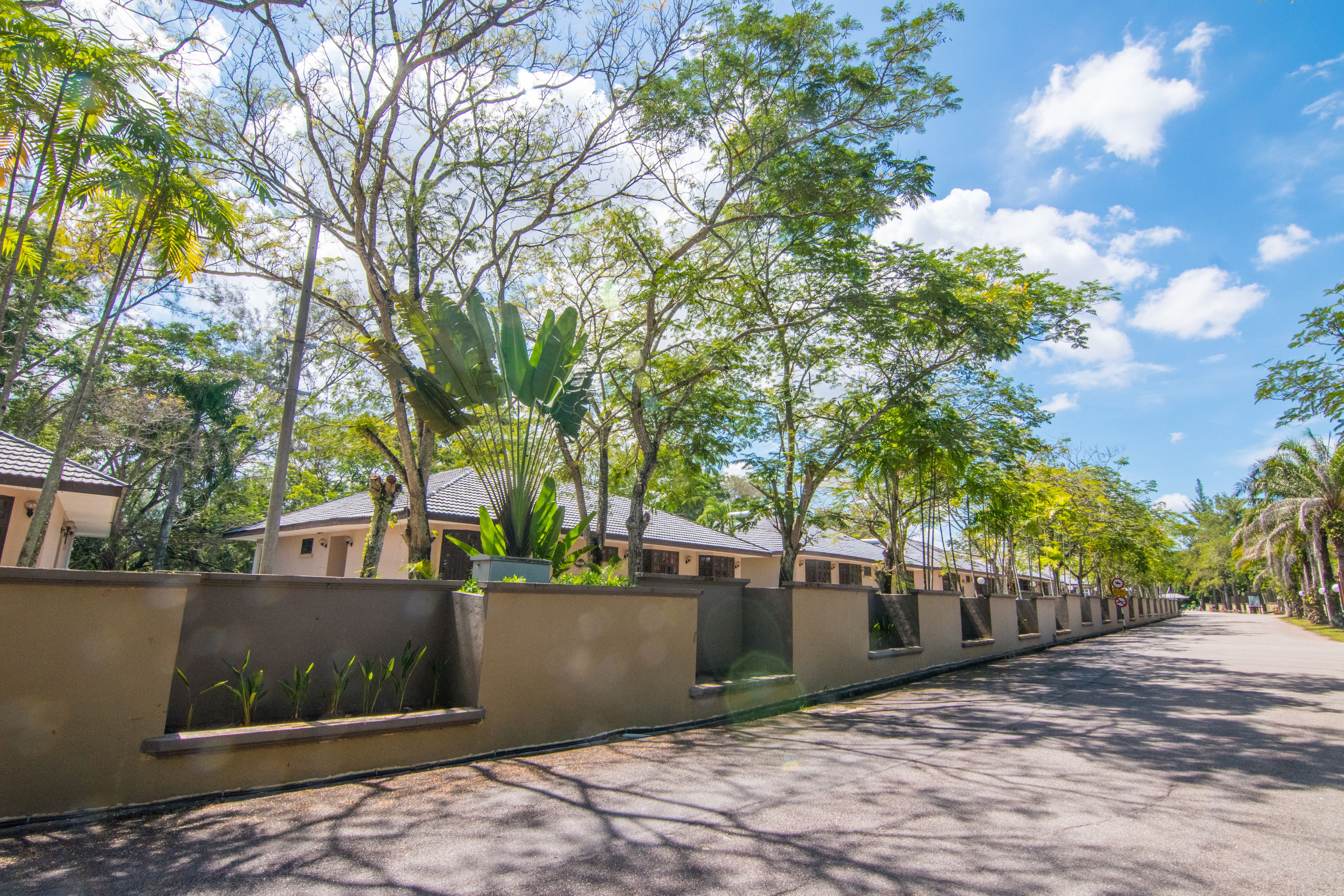 A tree-lined street with a row of buildings, a paved road, and a clear sky.