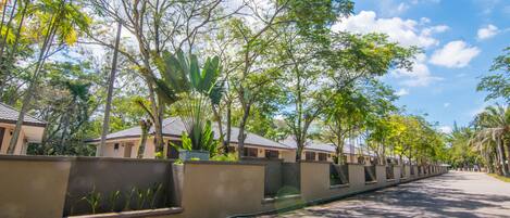 A tree-lined street with a row of buildings, a paved road, and a clear sky.