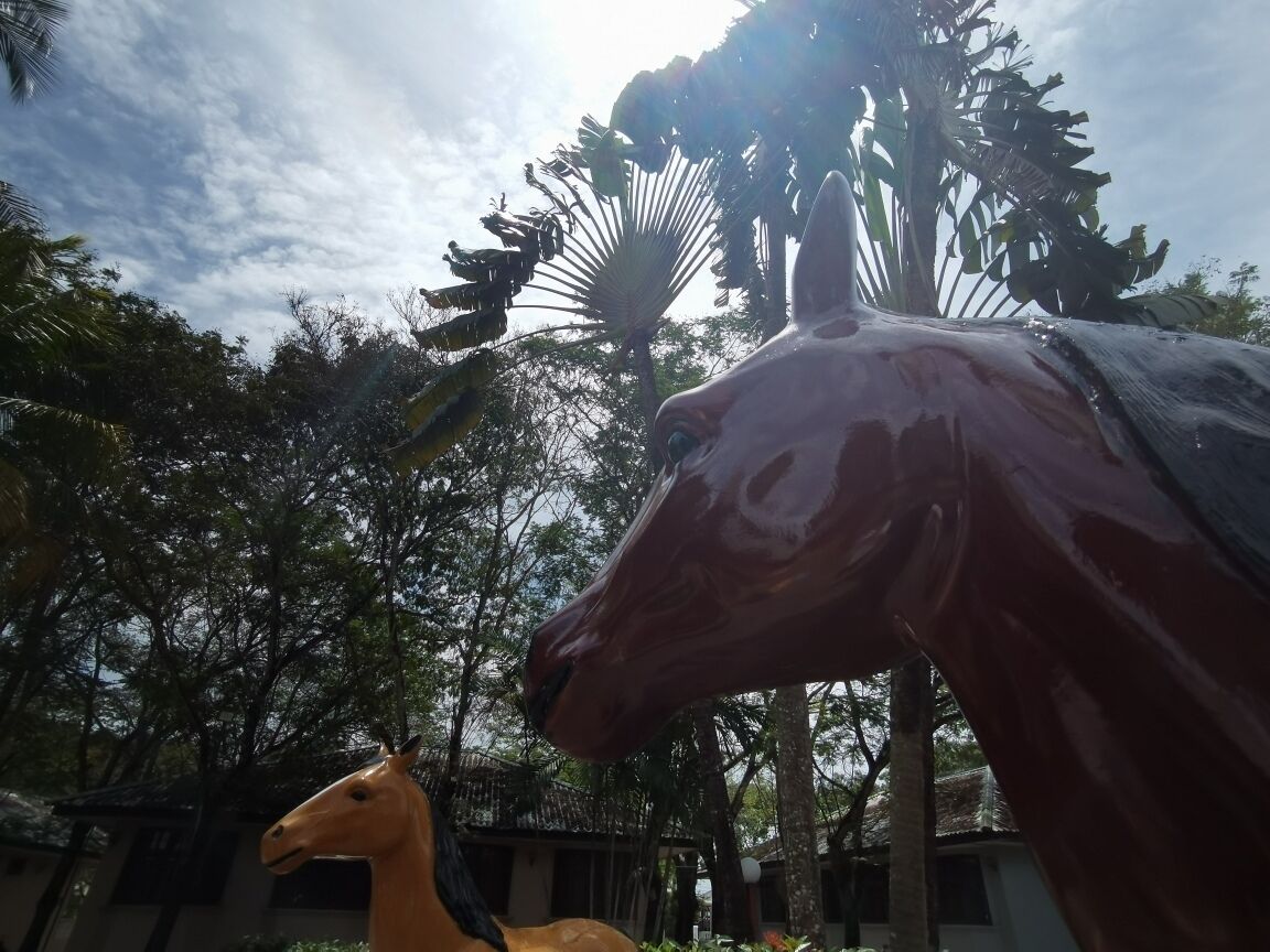 Uma grande estátua de cavalo em ambiente externo, com árvores e um edifício ao fundo.