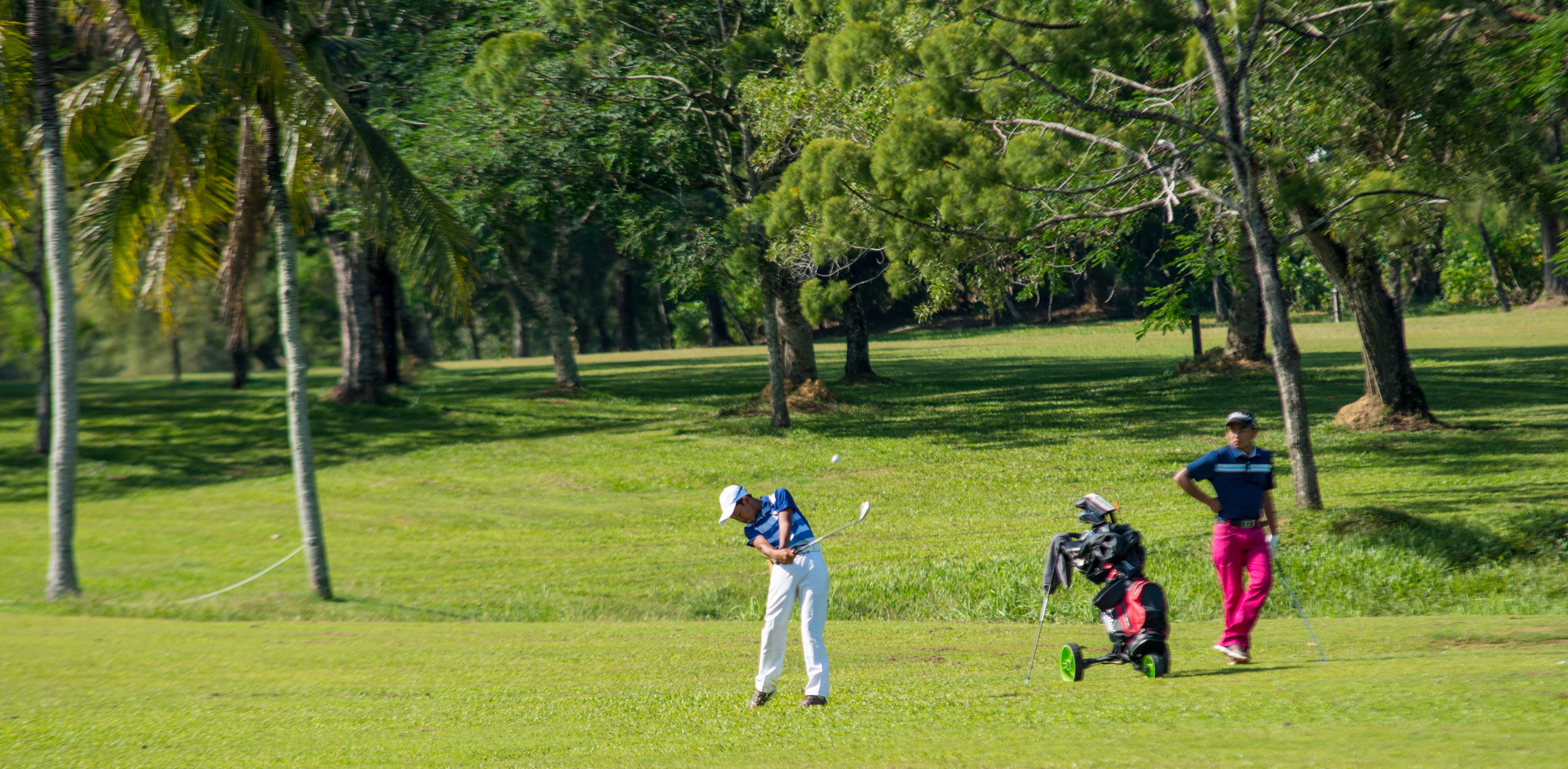 A golf course with players and a golf cart.