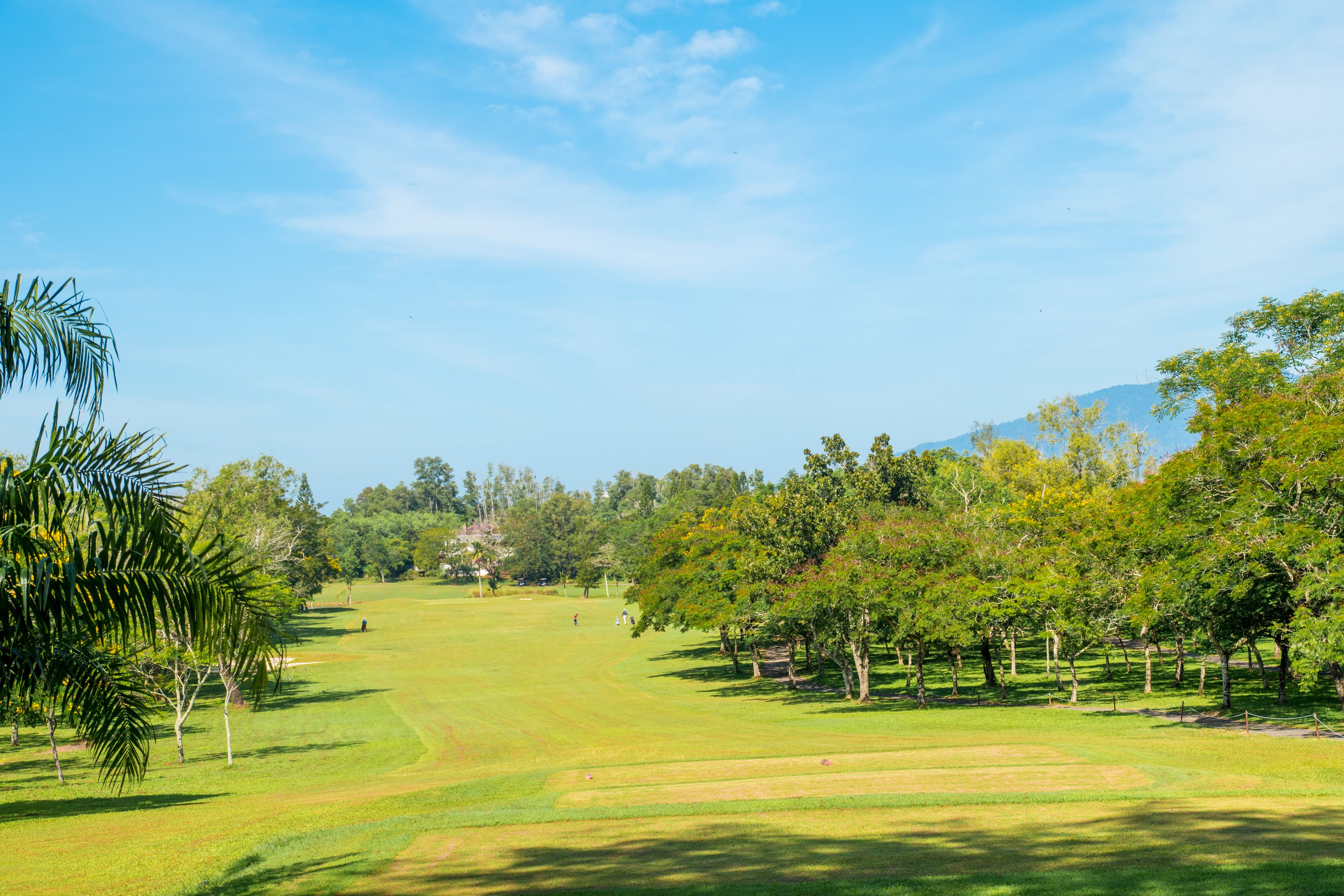 Golf