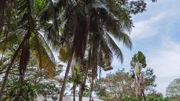 A tropical resort with palm trees, a horse statue, and a building with a tiled roof.