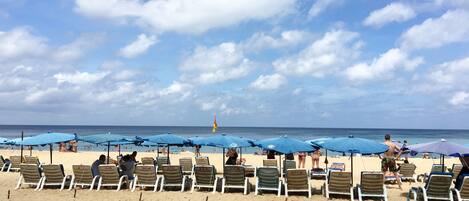 Une plage bordée de rangées de transats et de parasols bleus, dont certains sont occupés.