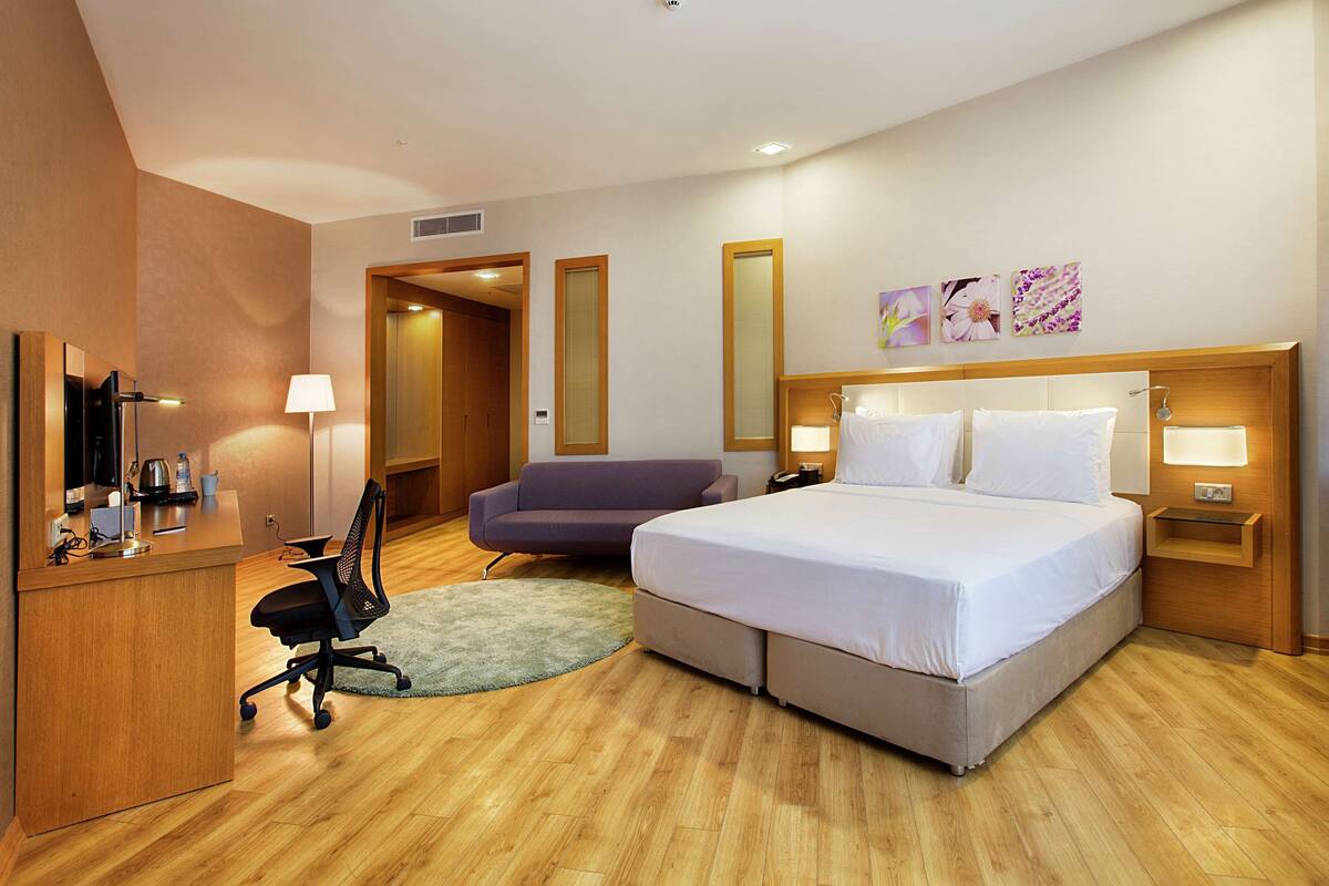 A hotel room with a bed, a desk with a chair, a sofa, a TV, and a bathroom with a shower and toilet.