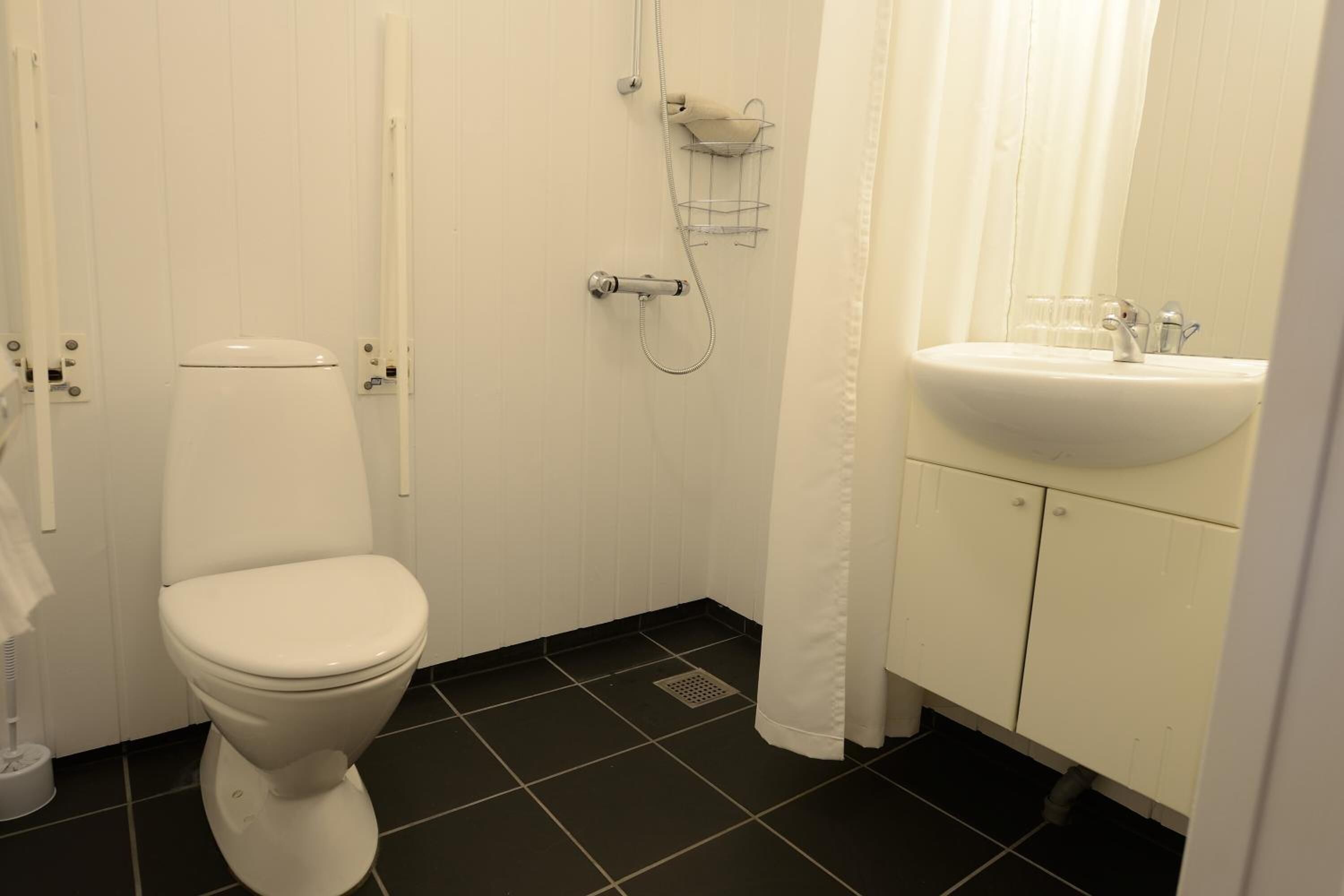 Une salle de bain avec des toilettes, une douche et un lavabo.