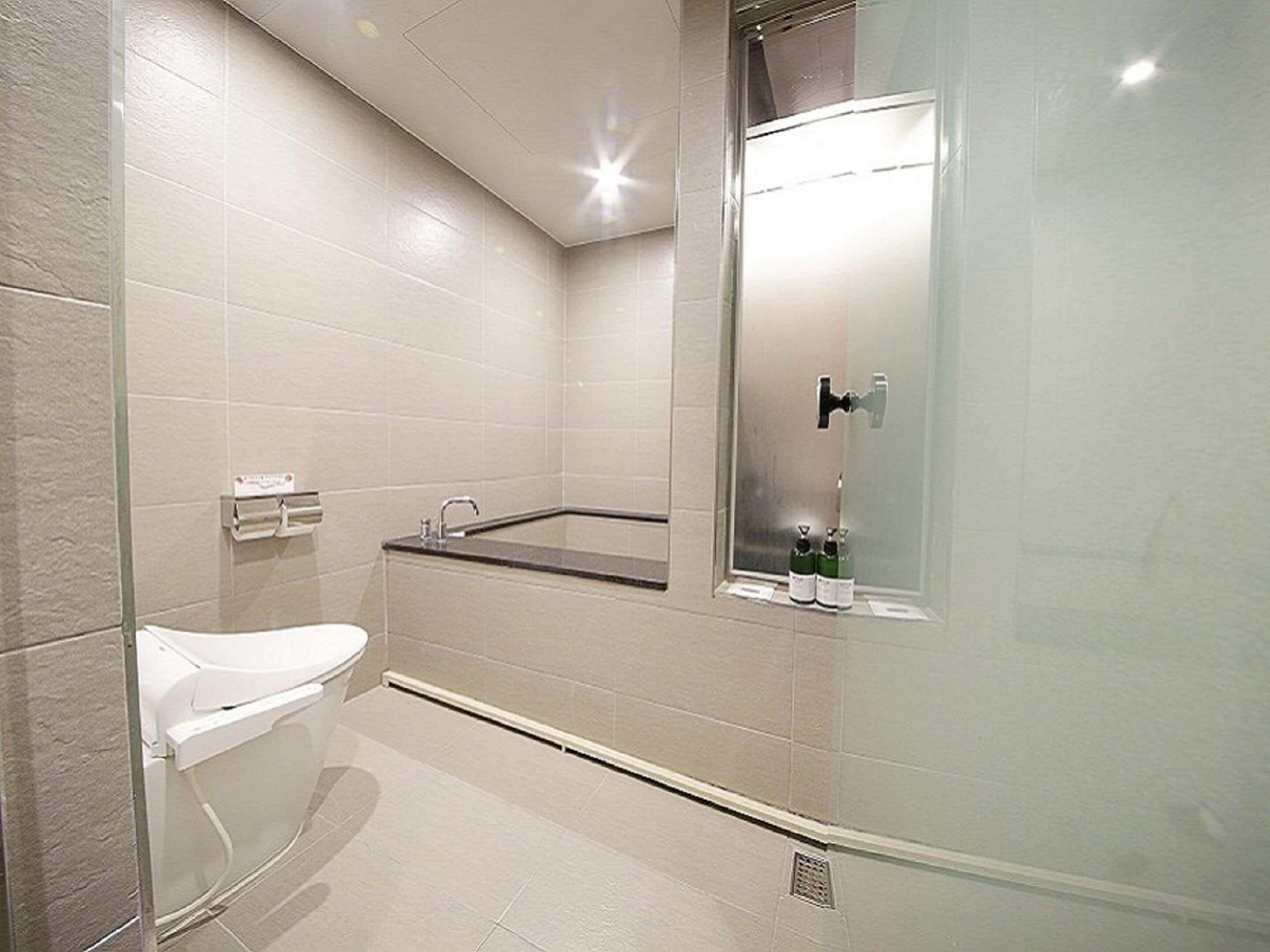 hair dryer, bathrobes, slippers, bidet