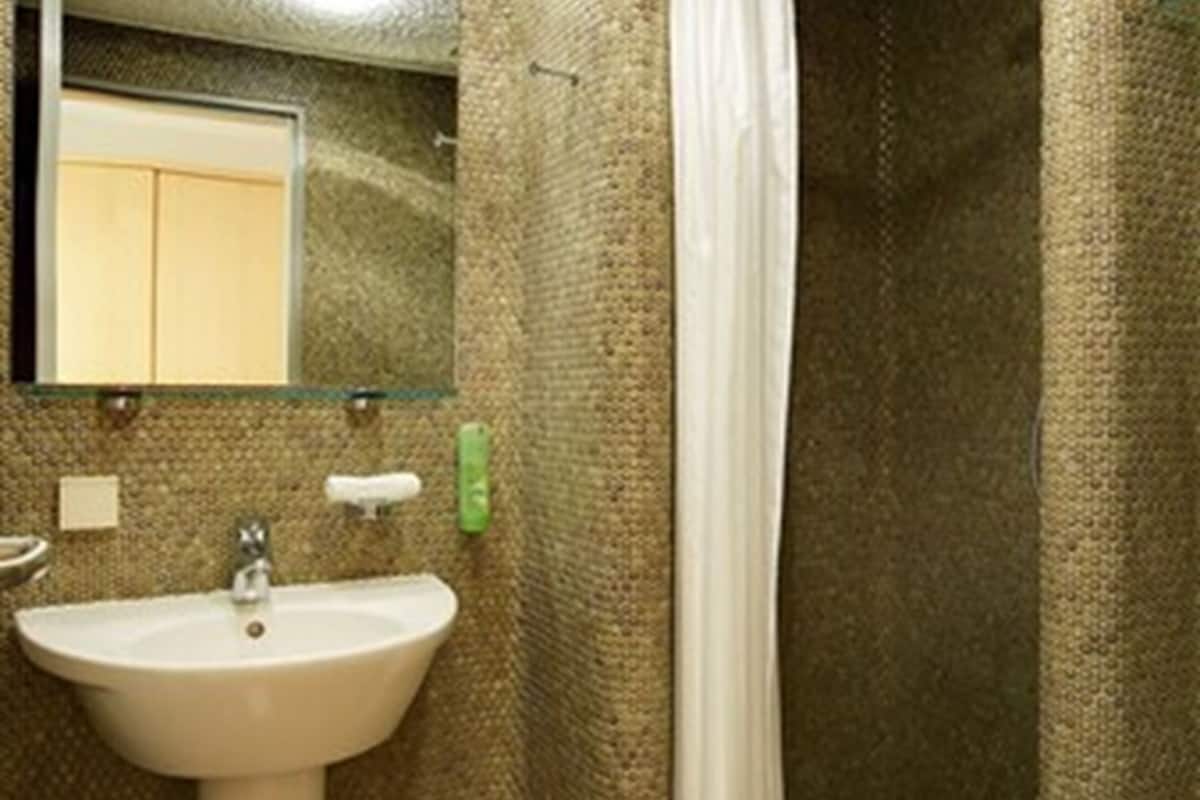 standard single room, 1 bedroom | bathroom | shower, free toiletries, hair dryer, towels
