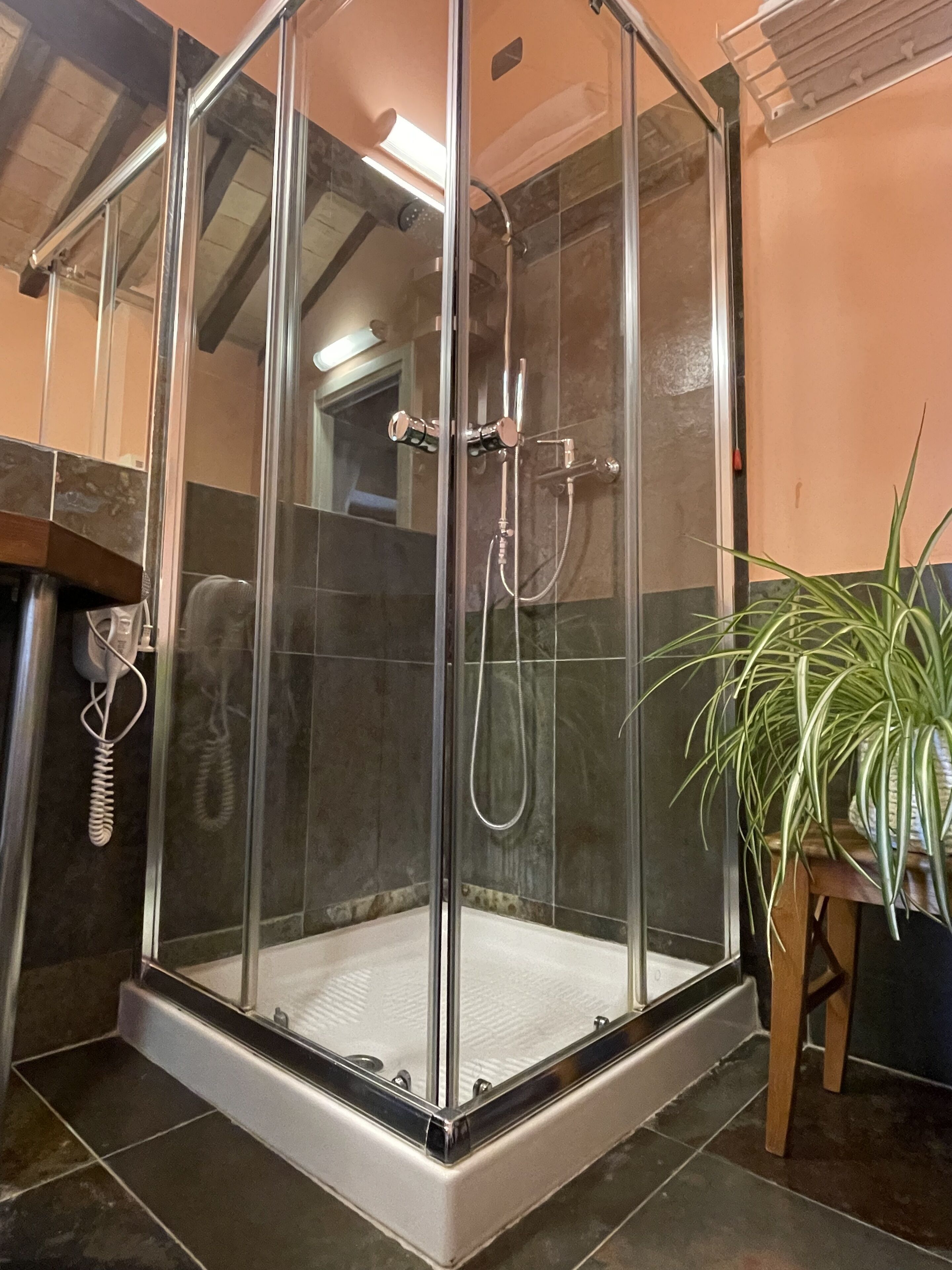 A glass-enclosed shower area with a tiled floor and a potted plant beside it.
