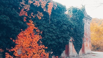 花園