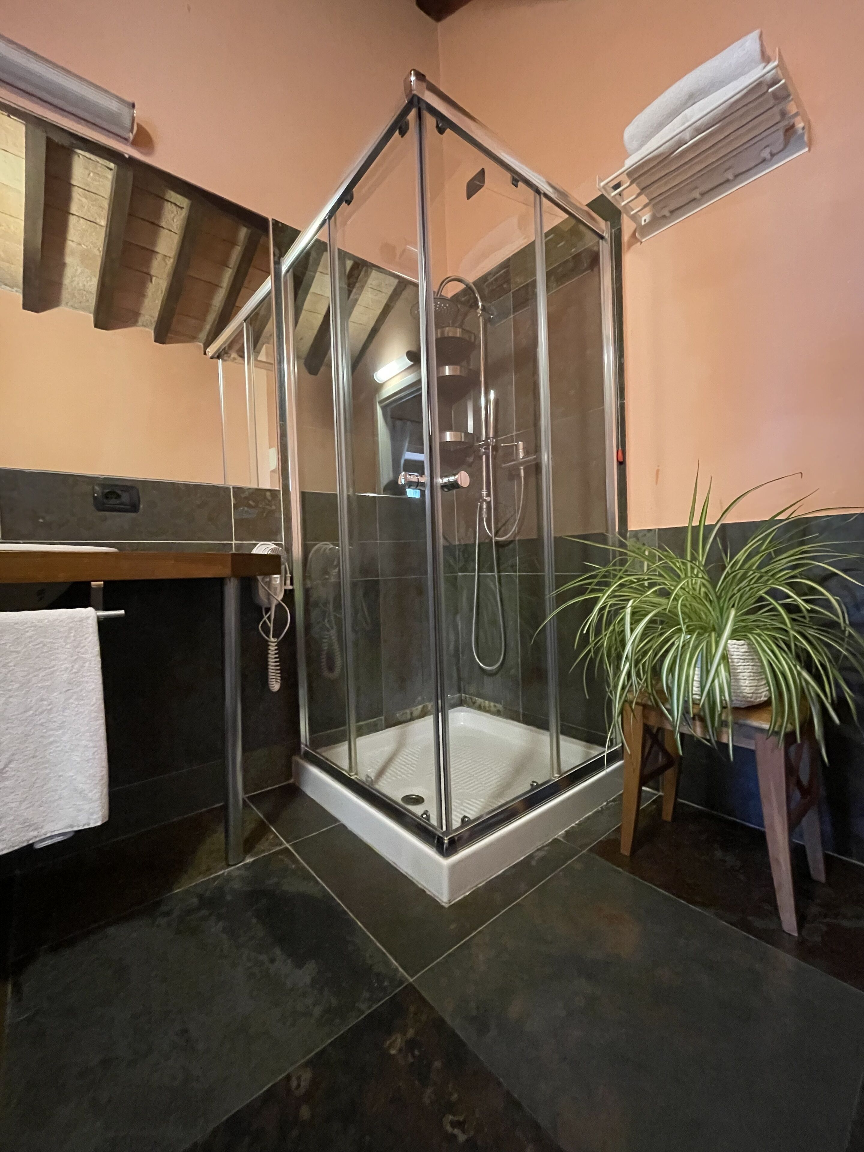 A glass-enclosed shower with a handheld showerhead and a handheld faucet.