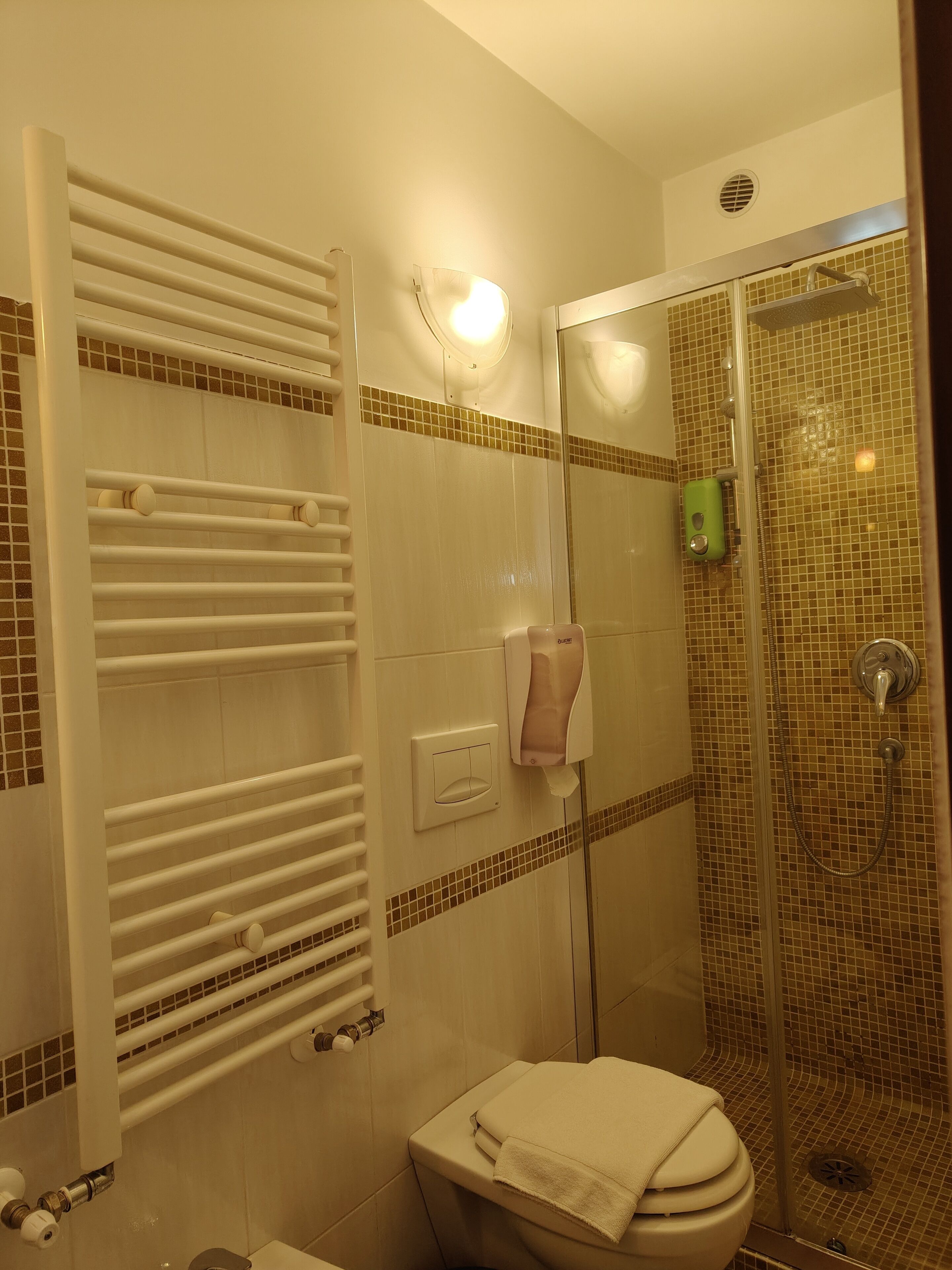 A bathroom with a glass shower enclosure, a toilet, and a towel rack.