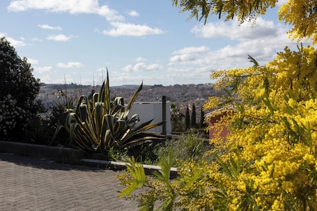 Vista desde la propiedad