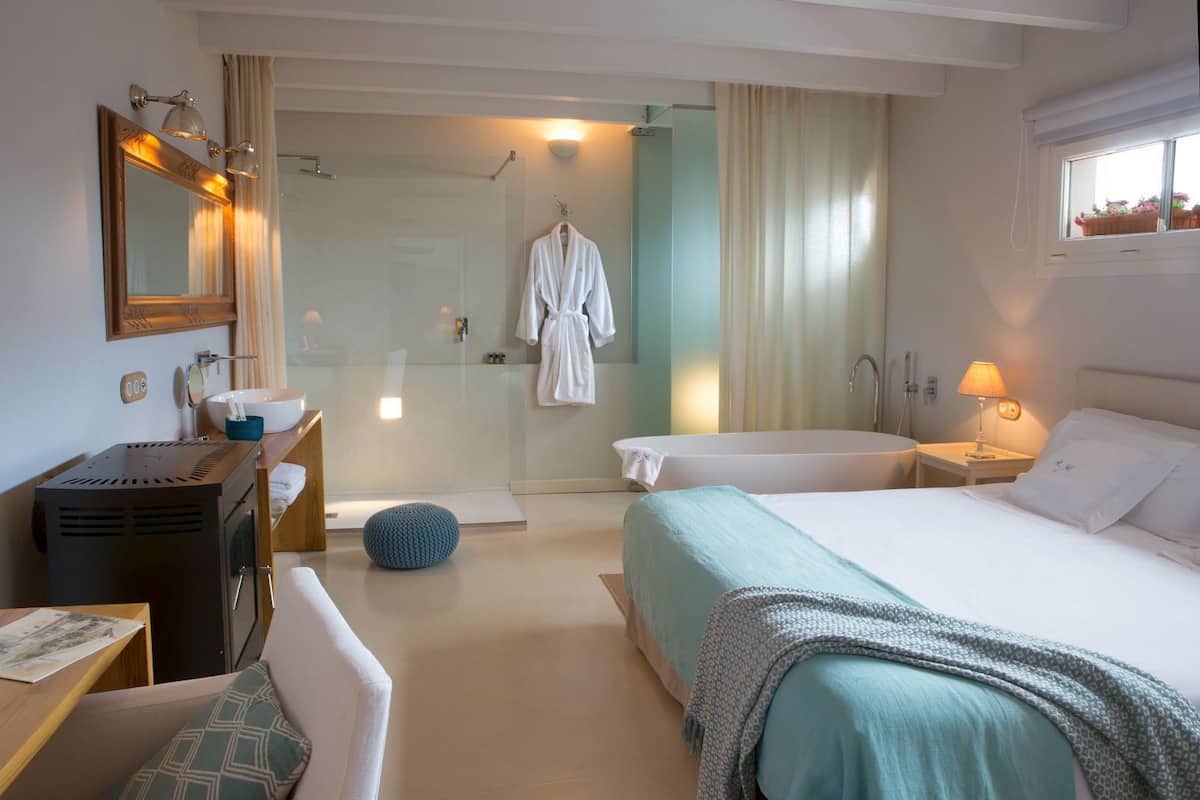 A hotel room with a bed, a desk, a mirror, a shower, and a window.
