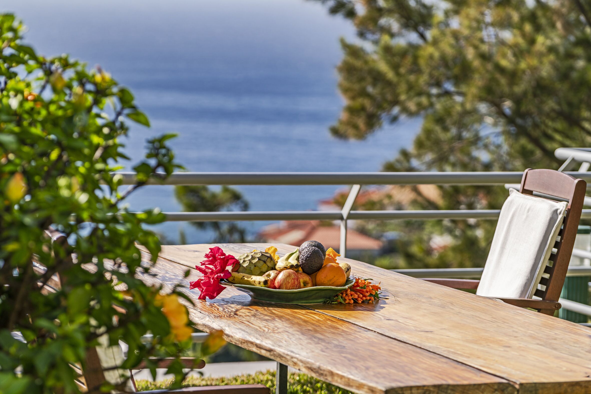 Photo - Casa do Papagaio Verde